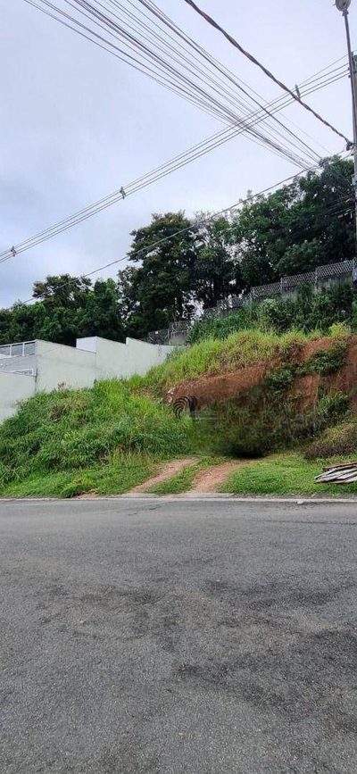 Terreno, 250 m² - Foto 5
