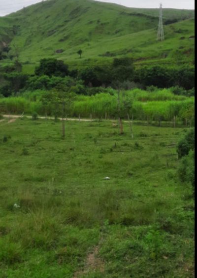 Terreno, 1 hectares - Foto 4