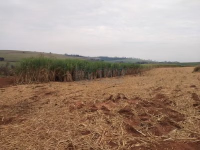 Fazenda - Foto 1