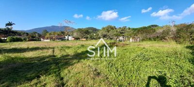 Terreno, 9 hectares - Foto 4
