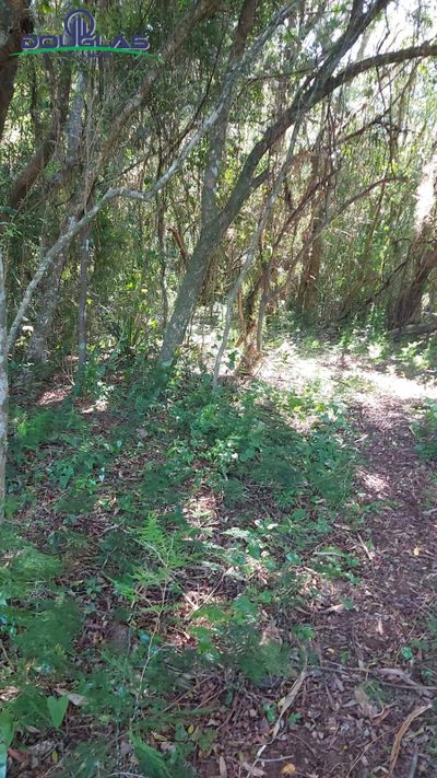 Terreno, 2400 m² - Foto 3