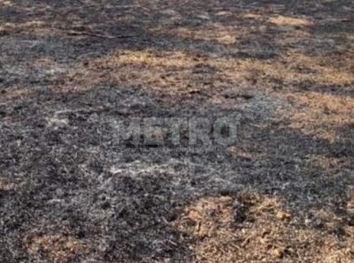 Terreno, 800 m² - Foto 1
