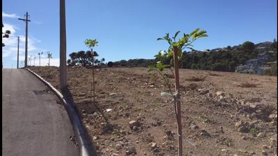 Terreno, 459 m² - Foto 1