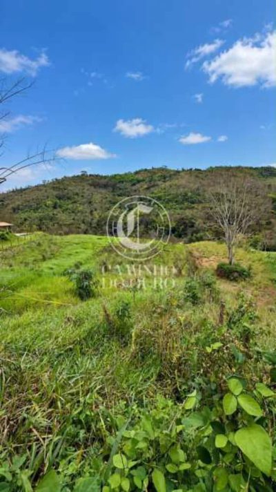 Terreno, 2043 m² - Foto 5