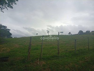 Terreno, 9671 m² - Foto 3