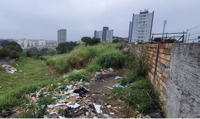 Terreno, 1 hectares - Foto 4