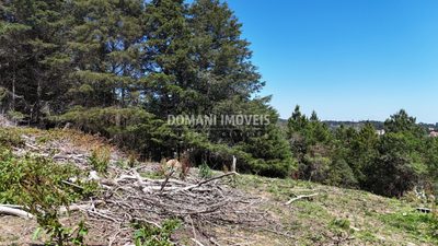 Terreno, 1170 m² - Foto 4