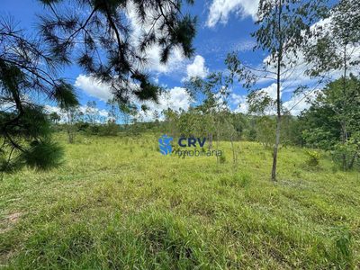 Sítio, 6 hectares - Foto 5