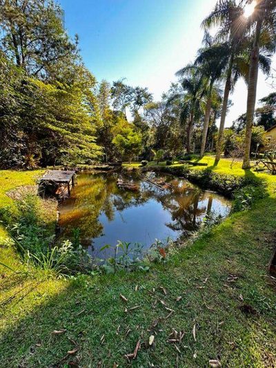 Chácara, 3 quartos, 10000 m² - Foto 4