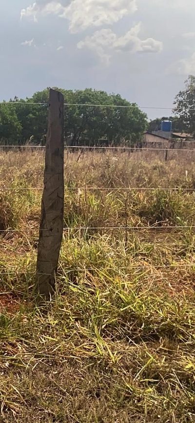 Loteamento e Condomínio, 5000 m² - Foto 4