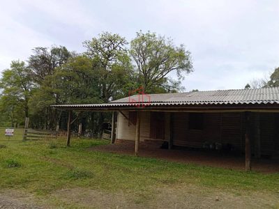Terreno, 3 hectares - Foto 3