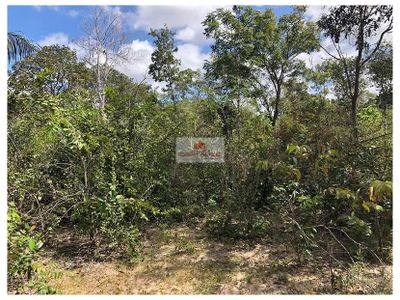 Fazenda, 3100 m² - Foto 2