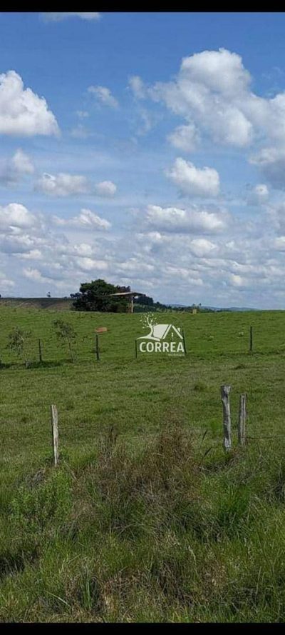 Fazenda, 97 hectares - Foto 5