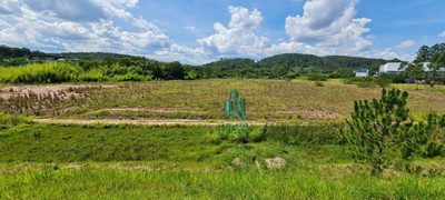 Terreno, 5 hectares - Foto 3