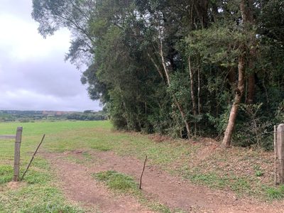 Terreno, 4 hectares - Foto 2