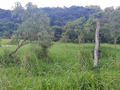 Terreno, 1028 m² - Foto 4