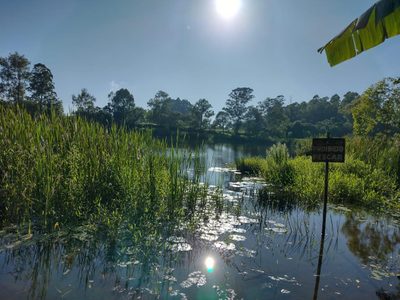 Sítio, 4 quartos - Foto 3