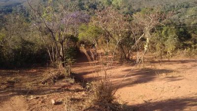 Chácara, 1 quarto - Foto 4