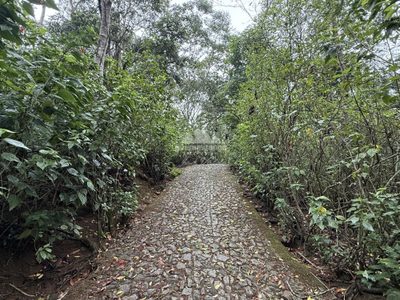 Chácara, 5 quartos, 7200 m² - Foto 3