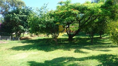 Sítio, 4 quartos, 5000 m² - Foto 4