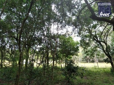 Terreno, 2500 m² - Foto 1