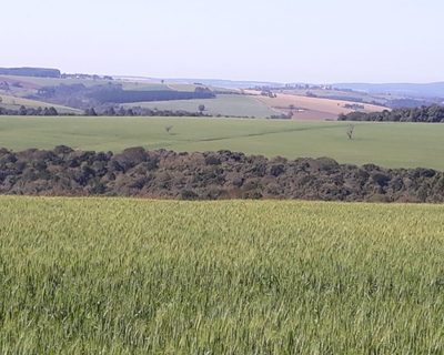 Fazenda, 340 m² - Foto 3