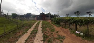 Chácara, 3 quartos, 8000 m² - Foto 2