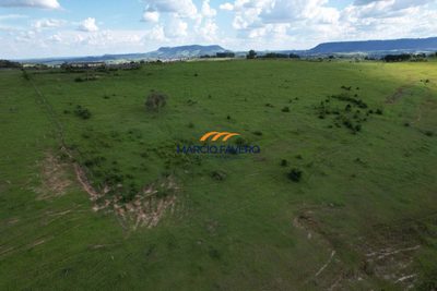 Fazenda, 211 hectares - Foto 4