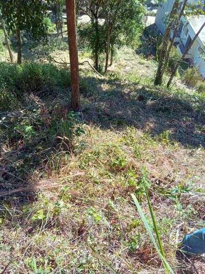 Terreno, 3035 m² - Foto 4