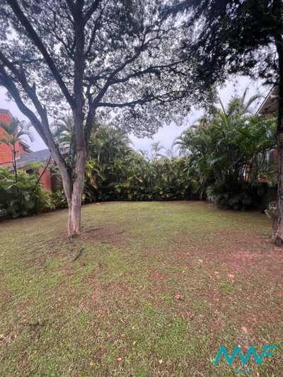 Terreno, 439 m² - Foto 3