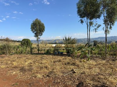 Fazenda, 3 hectares - Foto 3