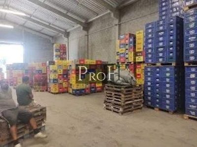 Depósito-Galpão, 695 m² - Foto 5