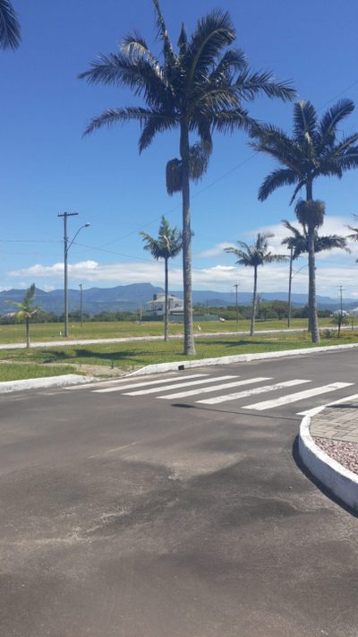 Terreno, 6 hectares - Foto 4