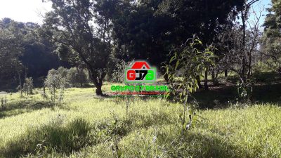 Terreno, 2 hectares - Foto 3