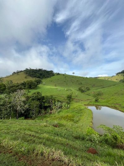 Fazenda, 200 m² - Foto 4