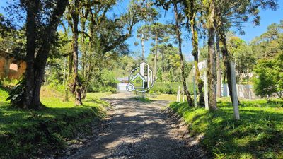 Terreno, 2500 m² - Foto 3