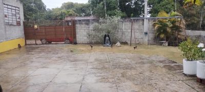 Sítio, 3 quartos, 1600 m² - Foto 1
