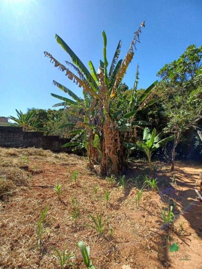 Terreno, 470 m² - Foto 5