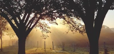 Terreno - Foto 5