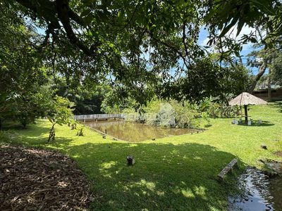 Chácara, 6 quartos, 6927 m² - Foto 3