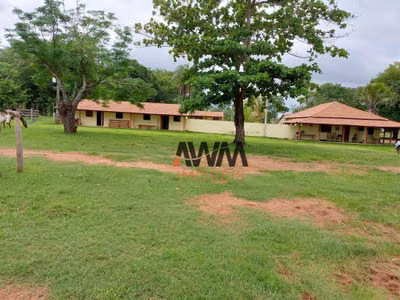 Fazenda, 2575 hectares - Foto 2