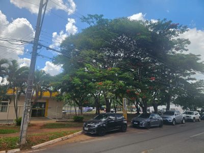 Terreno, 225 m² - Foto 3