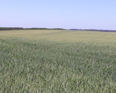 Fazenda, 340 m² - Foto 4
