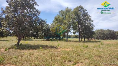Chácara, 1 quarto - Foto 2