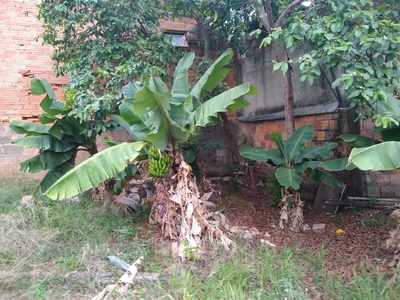 Terreno, 370 m² - Foto 4
