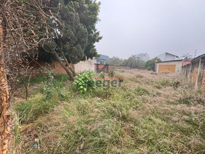 Terreno, 331 m² - Foto 3