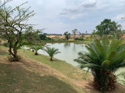Terreno, 250 m² - Foto 2