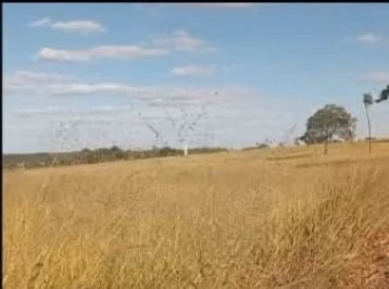 Fazenda, 121 hectares - Foto 3