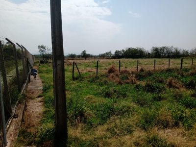 Sítio, 1 quarto, 2 hectares - Foto 3
