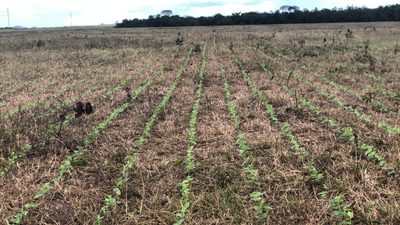 Fazenda, 370 m² - Foto 4